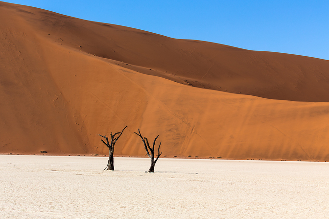 FotoExpedice Namibie - krajina a zvířata