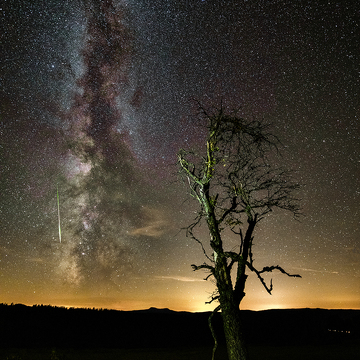 Perseidy 2024 - noční fotografování na Šumavě