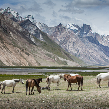 Z Ladakhu do Kašmíru