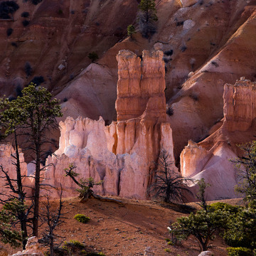 FotoExpedice Pouště a kaňony jihozápadu USA