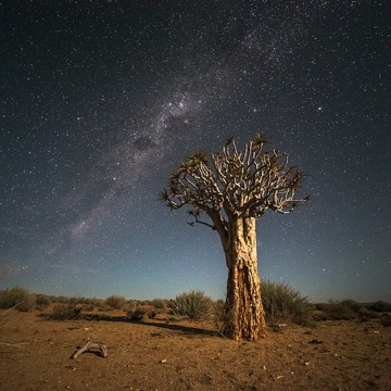 FotoExpedice Namibie - krajina a zvířata