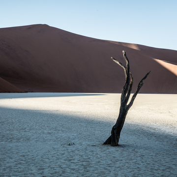 FotoExpedice Namibie - krajina a zvířata