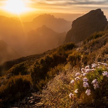 Fotoexpedice Madeira (Portugalsko)