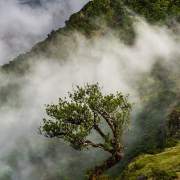 Fotoexpedice Madeira (Portugalsko)