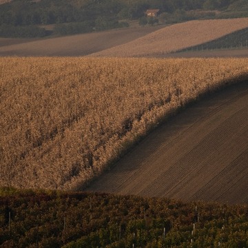 Moravské Toskánsko - Kurz fotografování