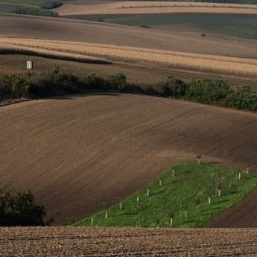 Moravské Toskánsko - Kurz fotografování