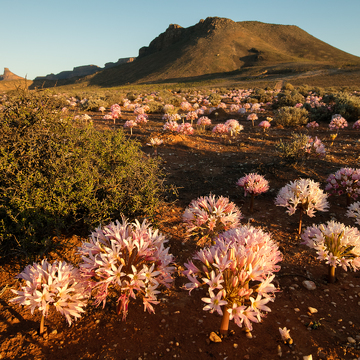 Fotoexpedice Namibie