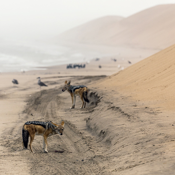 Fotoexpedice Namibie