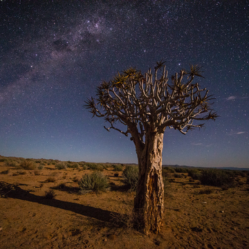 Fotoexpedice Namibie