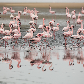 Fotoexpedice Namibie