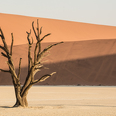Fotoexpedice Namibie