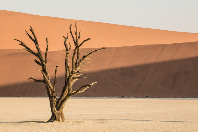 Fotoexpedice Namibie