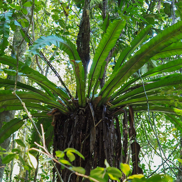 Fotoexpedice Madagaskar