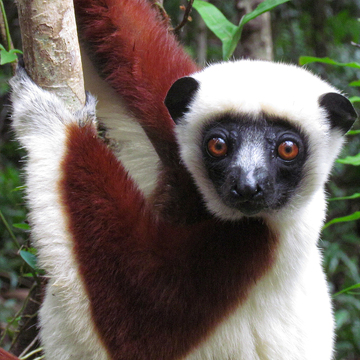 Fotoexpedice Madagaskar