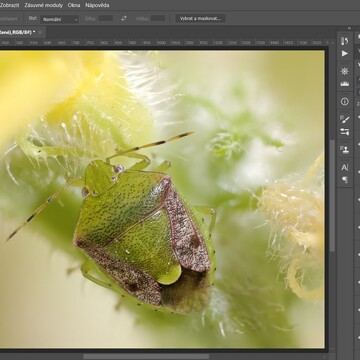 Photoshop pro začátečníky/RAW