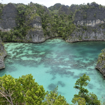 Západní Papua
