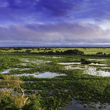 Pantanal a Rio de Janeiro