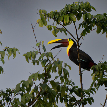 Guatemala a Nikaragua