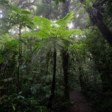 Guatemala a Nikaragua