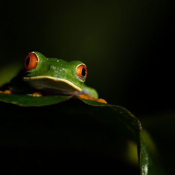 Guatemala a Nikaragua