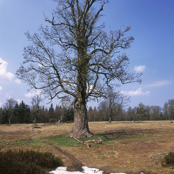 Šumava neznámá