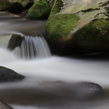 Letní fotografický tábor pro ZŠ a víceletá gymnázia