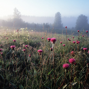 Krajinářská fotografie na Šumavě